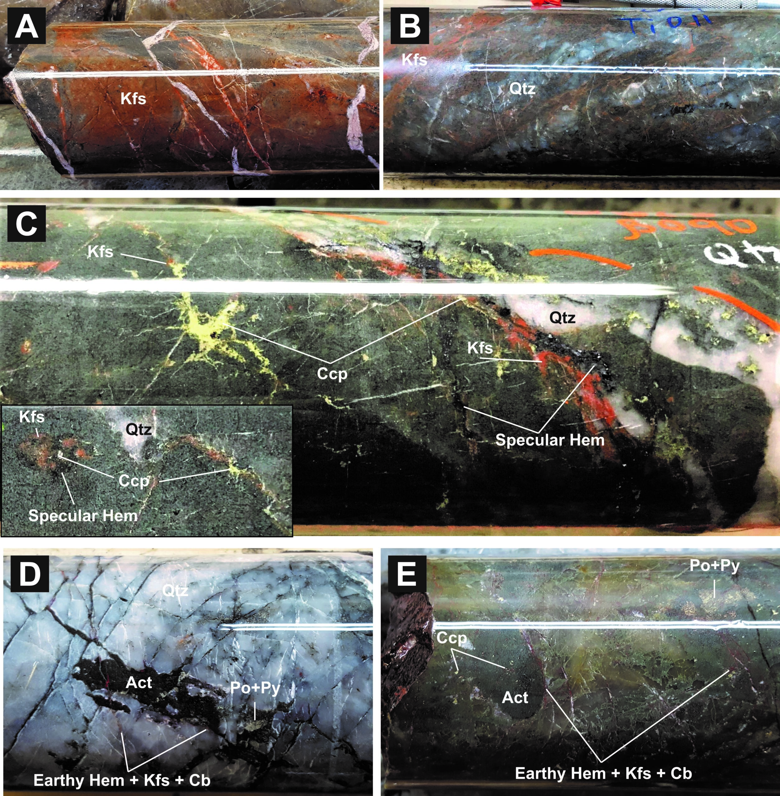 Pictures of the Si-(Fe)-K, LT Mg-Si-(Na,K)-Fe and LT K-Fe alteration facies associated with Cu-Au mineralization at the Alwyn Prospect. A. K-feldspar alteration in the haloes of the zone of intense silicification of the host sedimentary unit. B. Intense silicification with selective K-feldspar alteration of certain layers and sporadic chalcopyrite mineralization. C. Quartz-specular hematite and specular hematite-K-feldspar associated with chalcopyrite mineralization. D. Actinolite vein with pyrrhotite and pyrite crosscutting the intensely silicified unit and cut by earthy hematite veins with accessory K-feldspar and carbonates. E. Actinolite vein and alteration front with pyrrhotite and pyrite associated with Co and Ni enrichments evolving to chalcopyrite mineralization crosscut by earthy hematite veinlets with accessory K-feldspar and carbonates (transitioning to LT K-Fe). All the drill core pictures are from HQ core size with a diameter of 63.5 mm.