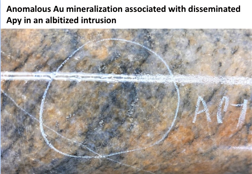 Anomalous Au mineralization associated with disseminated Apy in an albitized intrusion.