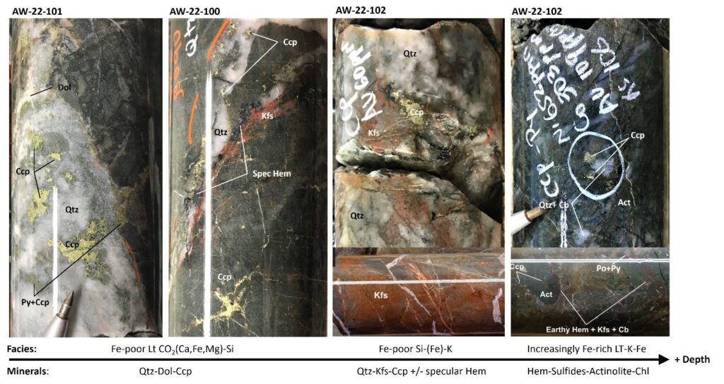 Examples of Cu-Au mineralization with associated Co and Ag, as well as anomalous Ni from the Alwyn Mine 2022 drill program. Note that the presence of K-feldspar with mineralization, as well as K-feldspar combined with specular hematite and mineralization are very significant observations providing evidence for a larger MIAC mineral system. The transition from Fe-poor LT CO2-(Ca,Fe,Mg)-Si alteration (Qtz-Dol-Ccp) to Fe-poor Si-(Fe)-K alteration (Qtz-Kfs-Ccp +/- specular Hem) and then to increasingly Fe-rich LT-K-Fe alteration (Hem-Sulfides-Actinolite-Chl) facies occurs from left to right with increasing depth at Alwyn. Fe-rich alteration appears to be increasing in intensity after 70m vertical depth.