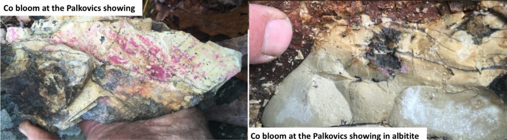 Cobalt bloom (erythrite) in strongly albitized sediments at Palkovics.