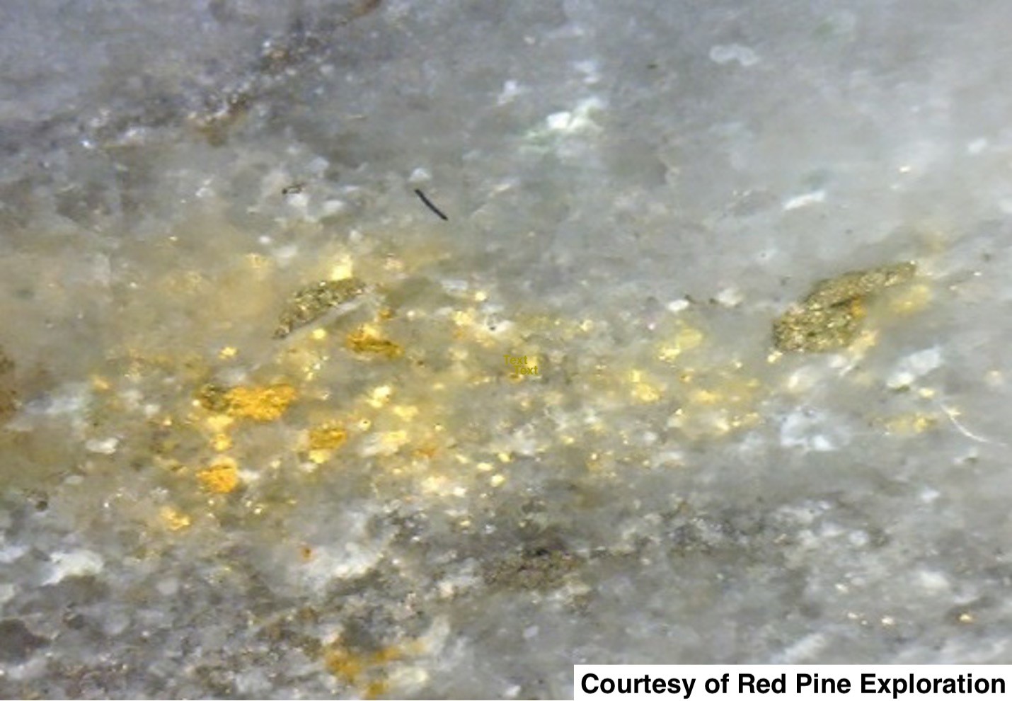 Gold associated with quartz veins with variable white mica and iron carbonate with pyrite and pyrrhotite (Si-K-CO2 – S alteration).